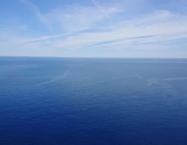 Miniatura: Inteligentni ludzie najczęściej wybierają...