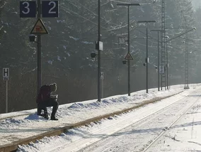 Miniatura: Uwaga – praca! SOK da niezłą pensję,...