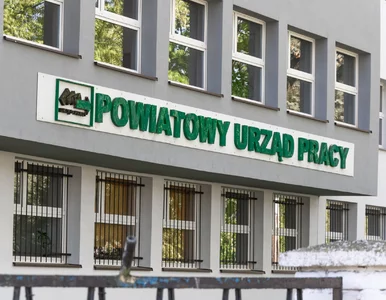 Miniatura: Bezrobocie w Polsce rośnie. GUS...