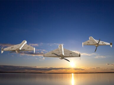Miniatura: „Dron” Słowem Roku. Zdaniem eksperta „To...