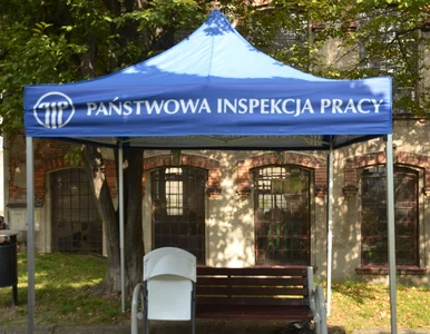 Miniatura: Wyzysk na śmieciówkach. Państwowa...