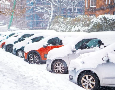 Miniatura: Łatwiej o stratę prawa jazdy. Nowe...