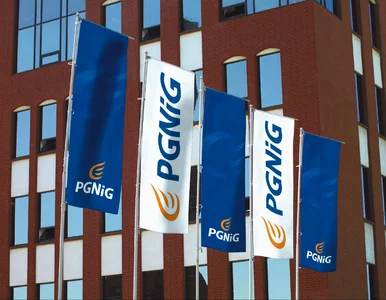 Miniatura: Zamiast PGNiG teraz będzie myOrlen. Co...