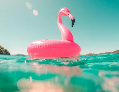 Miniatura: Urlop w niższej cenie. Przeceny...