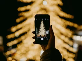 Miniatura: Groźne owady na choinkach. Nie przynoś ich...