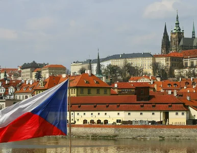 Miniatura: Czesi szturmują polskie sklepy. Wracają z...