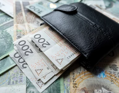 Miniatura: Prawie 30 mln zł dopłat w PPK. Kto...