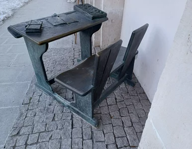 Miniatura: Mróz zamyka szkoły. Jakie możliwości mają...