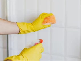 Miniatura: Ile kosztuje sprzątanie przed Wielkanocą?...