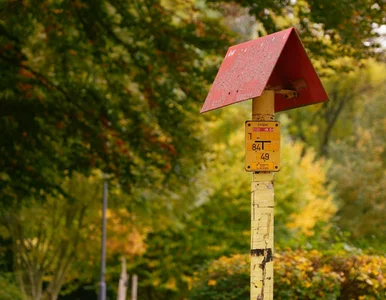Miniatura: Będą odszkodowania! TK zmienił sytuację...