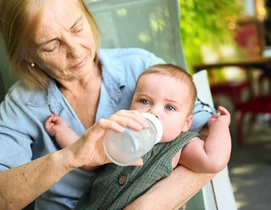 Miniatura: „Babciowe” bije rekordy popularności....