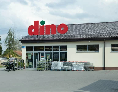 Miniatura: Dino szuka pracowników w całej Polsce. 2,9...