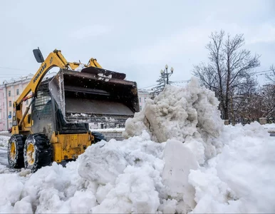 Miniatura: Śnieg, zadymka, mróz. Czy pogoda...
