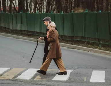 Miniatura: Dwa województwa przodują w...