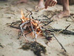 Miniatura: Palić gałęzie czy nie palić? Wiosenne...