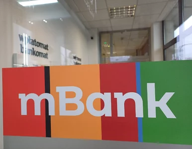 Miniatura: Weekend bez zakupów online. Wstrzymana...