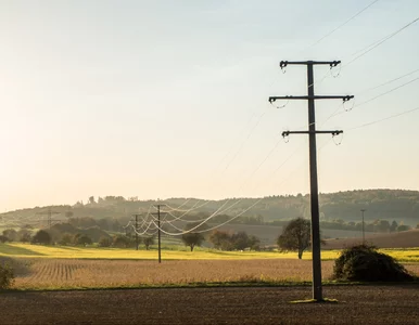 Miniatura: Masz słupy energetyczne na działce? Możesz...