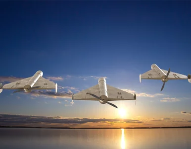 Miniatura: Dom zniszczony przez wojskowy dron. Czy...