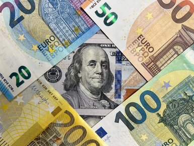 Miniatura: Dolar coraz słabszy. Sprawdź dzisiejsze...