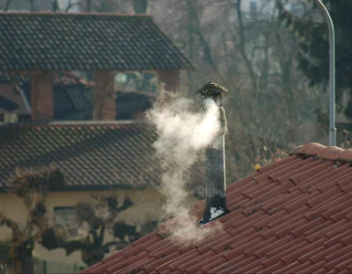 Miniatura: Uwaga, bo tego już nie odliczysz. Ważne...