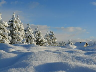 Miniatura: Jak naprawdę działa pompa ciepła? Jest...