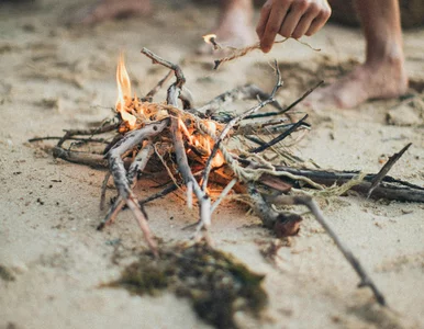 Miniatura: Palić gałęzie czy nie palić? Wiosenne...