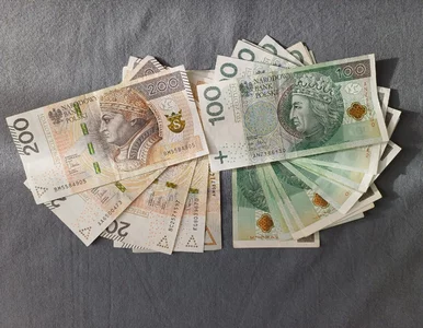 Miniatura: Bezpieczeństwo ekonomiczne. 24 punktów...