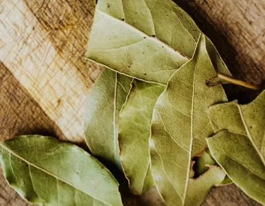 Miniatura: Ten napar dla wątroby jest jak balsam....