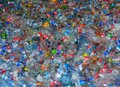 Miniatura: Żywy plastik. Będzie wyższy poziom...