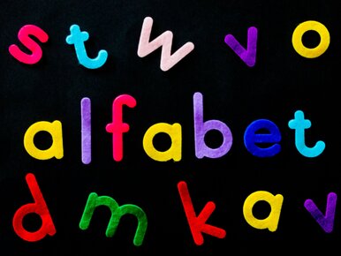Miniatura: Młodzi Niemcy nie chcą polskiego. A czeski...