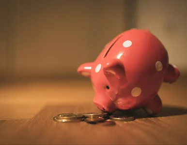 Miniatura: Chcesz żyć z odsetek? Naukowcy mają wzór...