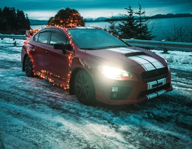 Miniatura: Nie tylko choinka. Świątecznie ozdobione...