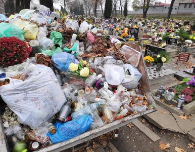 Miniatura: Nowe pojemniki na cmentarzach. Co można do...