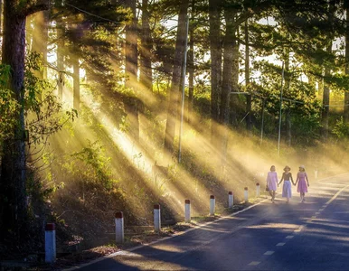 Miniatura: Znikające kobiety. Nie pracują, nie idą na...