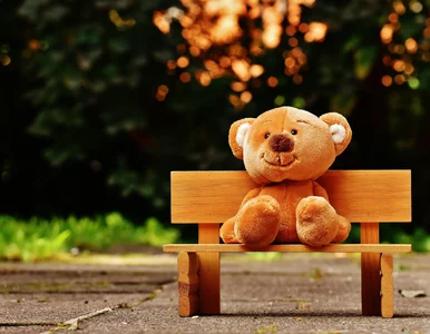 Miniatura: Ważny komunikat ws. 800 plus. Chodzi o...