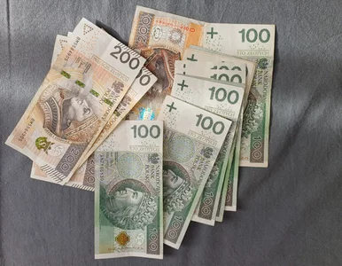 Miniatura: Tych pieniędzy nie odzyskasz. Urząd...