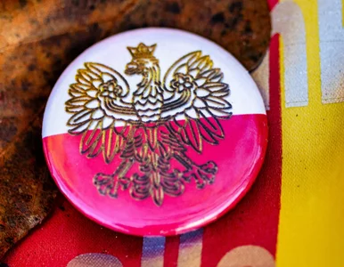 Miniatura: Polska flaga oraz godło do poprawki. Prace...