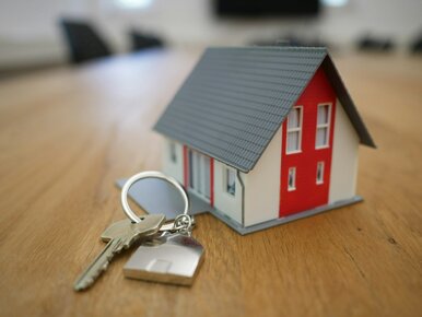 Miniatura: Jak wejść w posiadanie swojego kawałka...