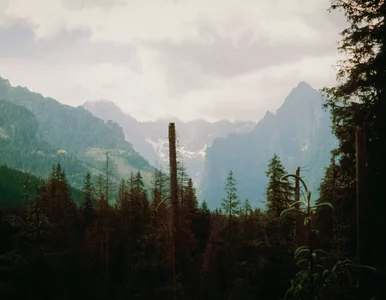 Miniatura: Tatry mają piesze szlaki dla każdego....