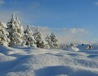 Miniatura: Jak naprawdę działa pompa ciepła? Jest...