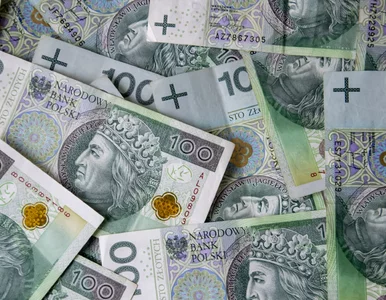 Miniatura: Sprawdź swoje pieniądze w PPK. Zaloguj się...