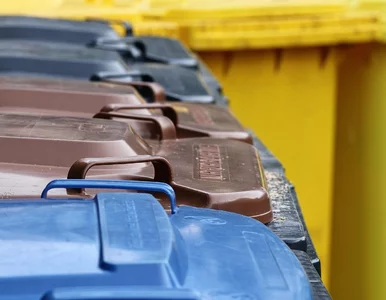 Miniatura: Woreczki po ryżu do plastiku? To poważny...