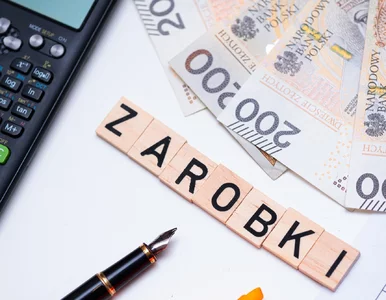 Miniatura: Tyle zarabiają Polacy. Średnia pensja to mit