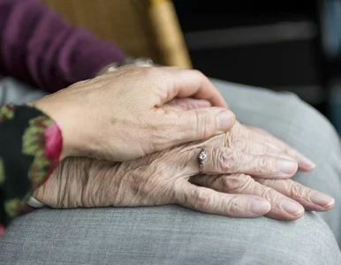 Miniatura: Nie starość. Co faktycznie kończy życie w...