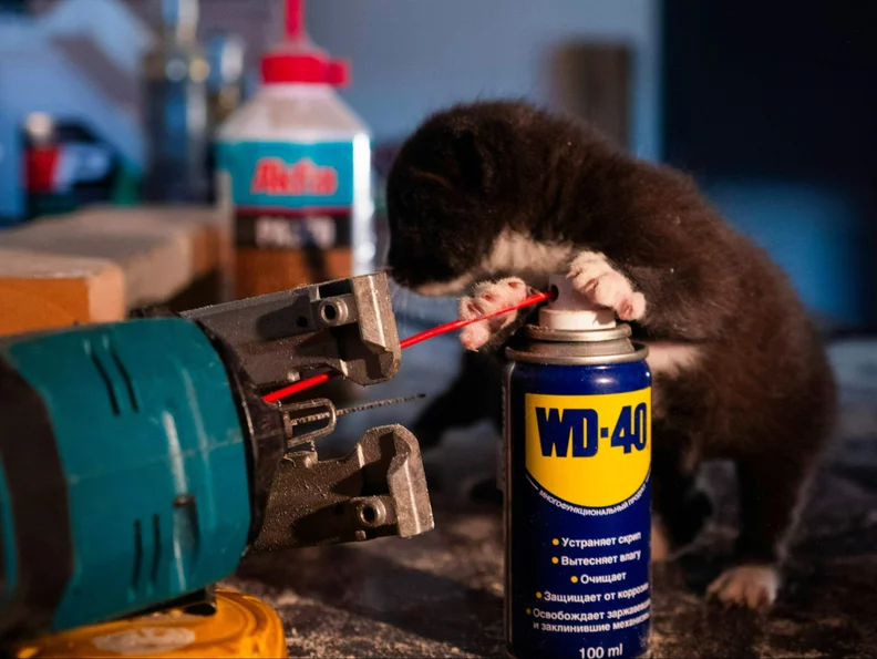Miniatura: Nowe zastosowania dla WD-40. Tego jeszcze...