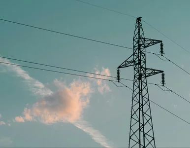 Miniatura: Państwowe firmy energetyczne mogą przejąć...