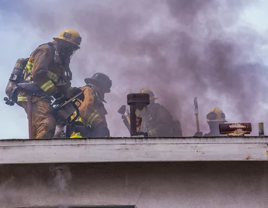 Miniatura: Pożar to nie koniec. Ubezpieczenie może...