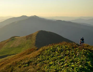 Miniatura: Rzucić wszystko i znaleźć pracę w...