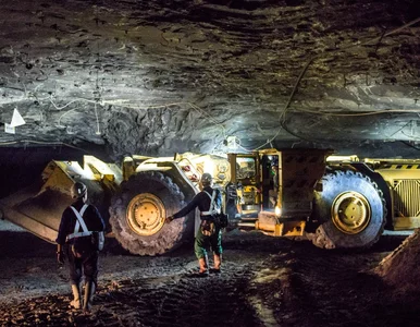 Miniatura: Polski gigant wyprzedaje kopalnie. Kupcy...