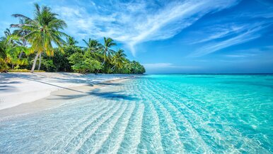 Miniatura: Ostatni dzwonek na zaległy urlop....